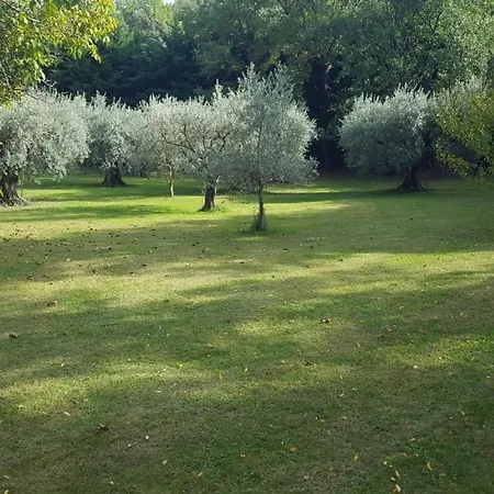 Guest house Douceur Des Mees Les Mees