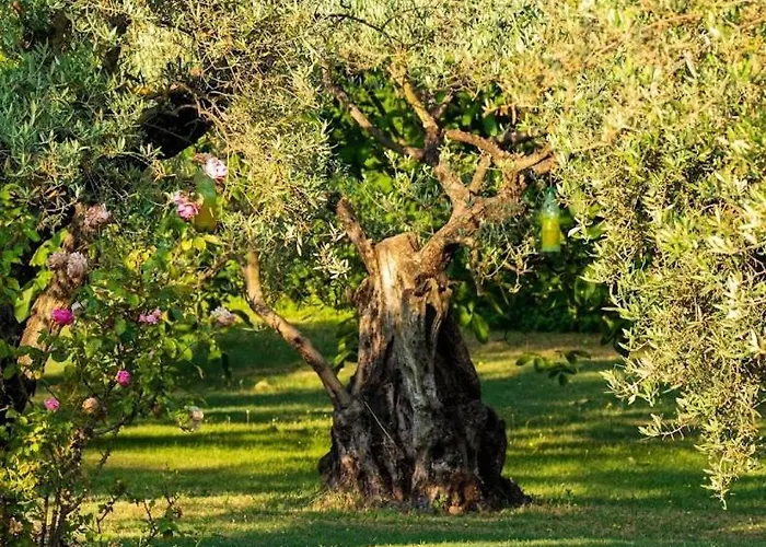 Douceur Des Mées Affittacamere *